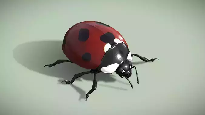 LadyBug Low-poly 3D model