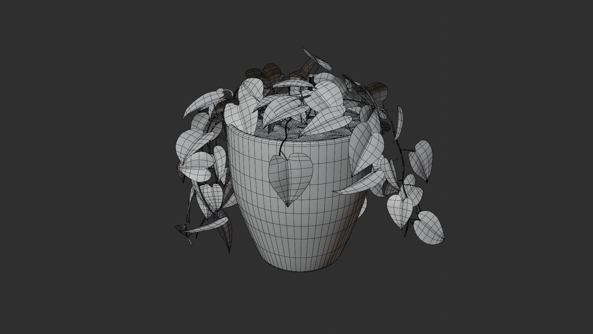 Pothos plant Free 3D model_12