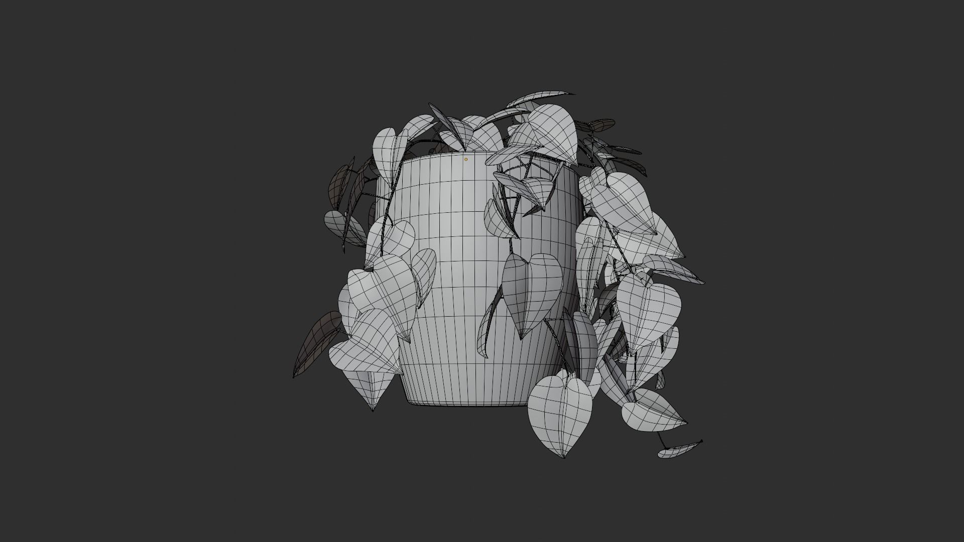 Pothos plant Free 3D model_4