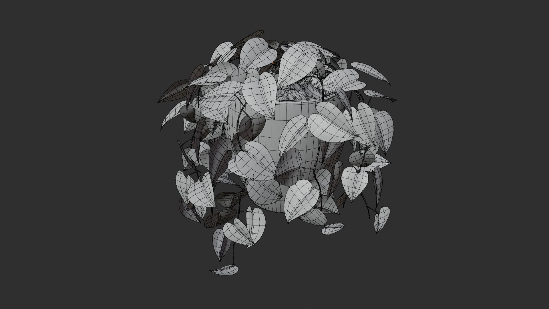 Pothos plant Free 3D model_10