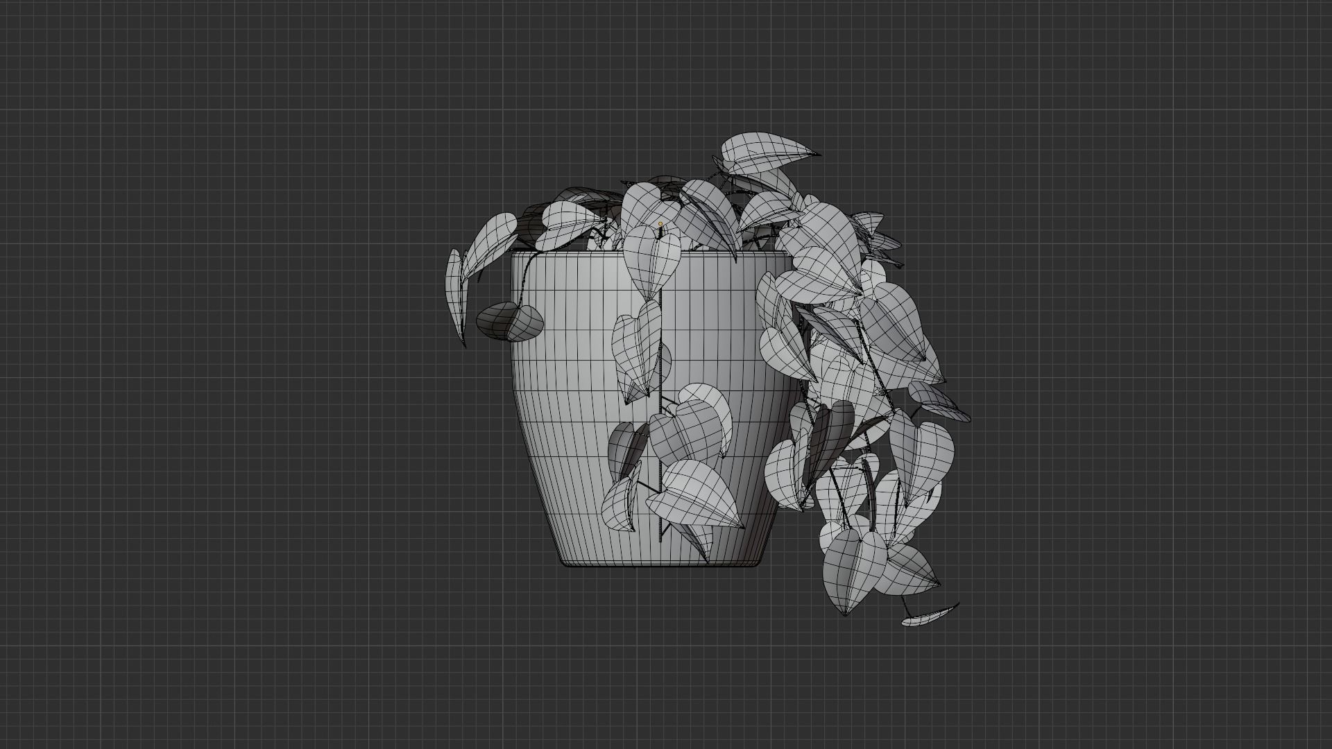 Pothos plant Free 3D model_3