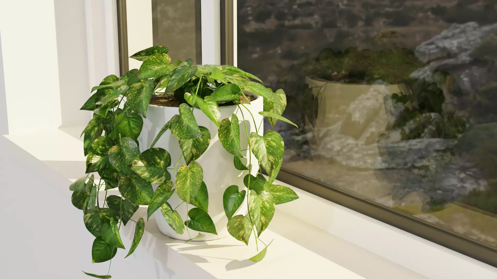 Pothos plant Free 3D model_0