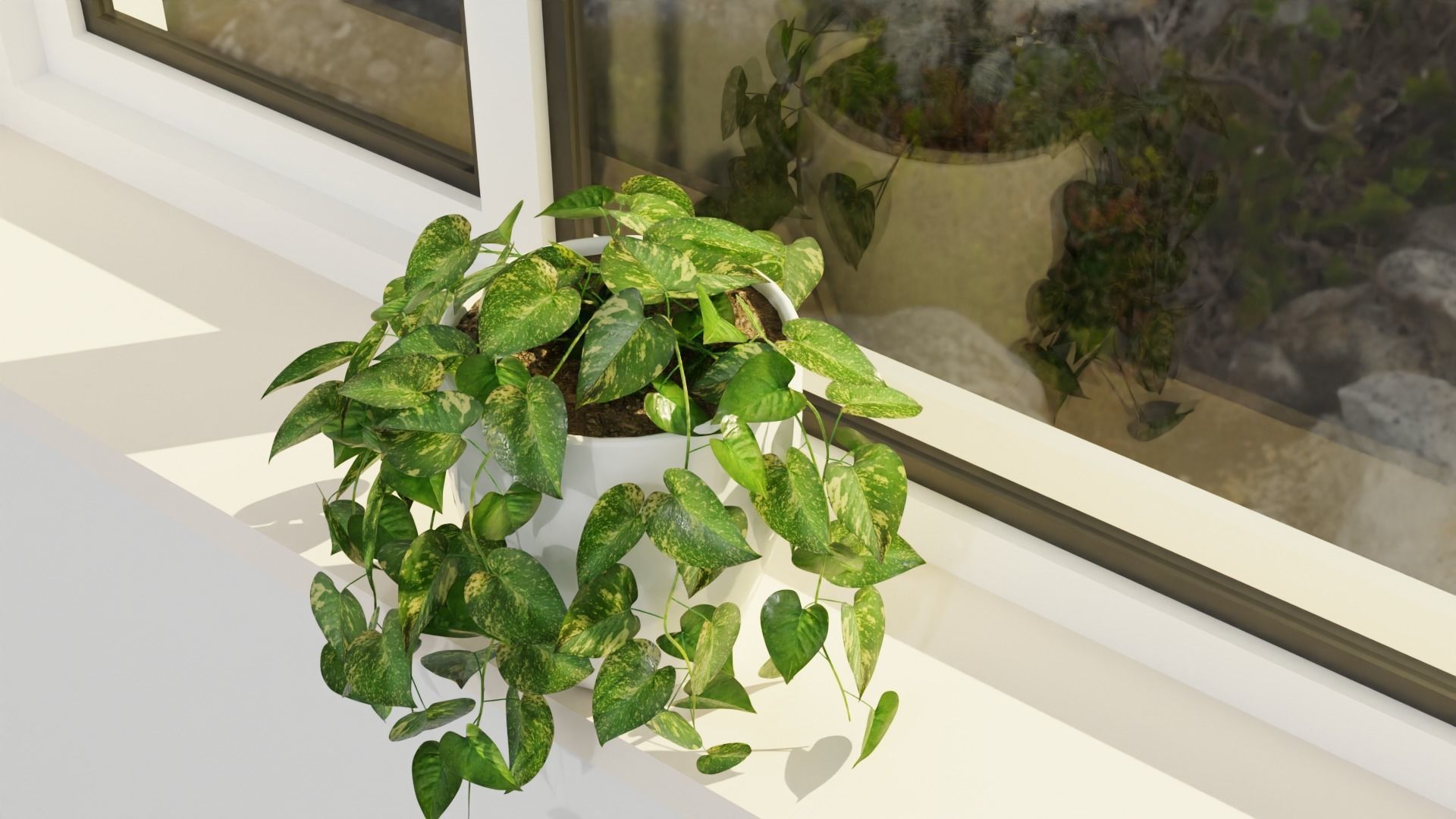 Pothos plant Free 3D model_2