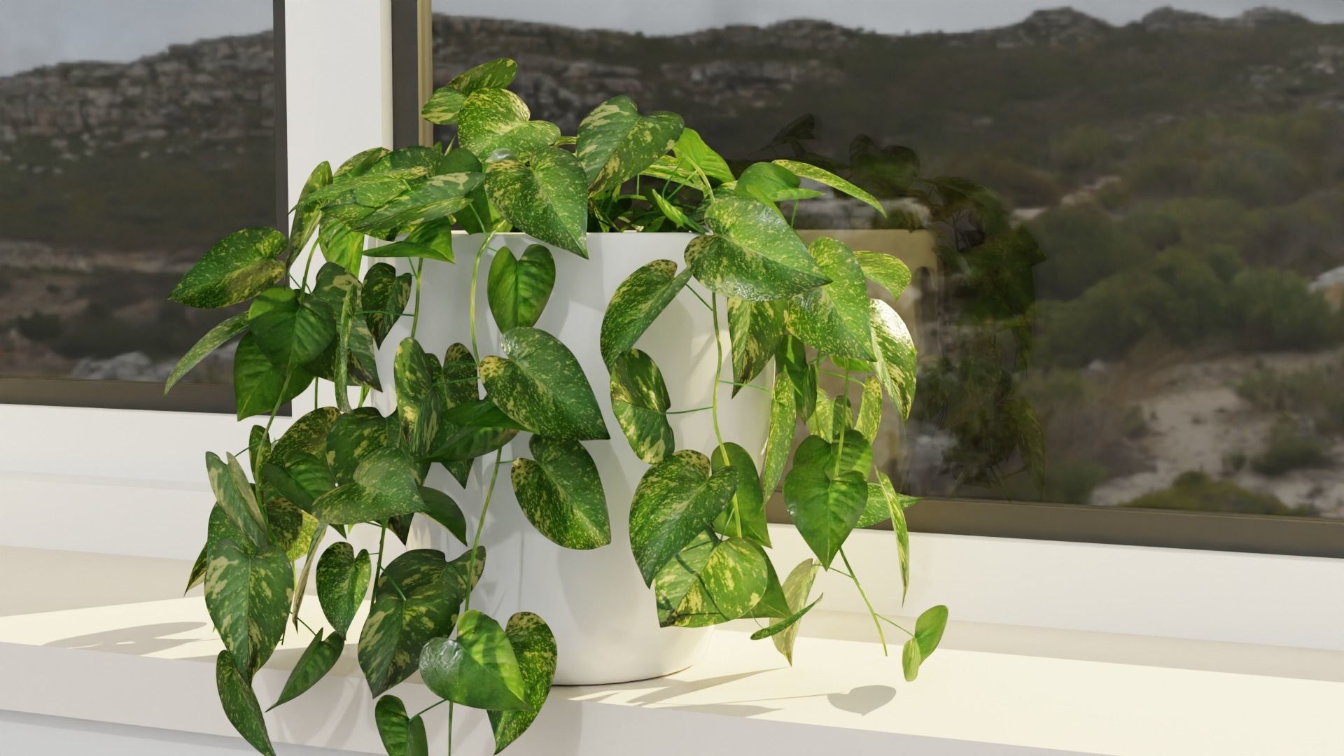 Pothos plant Free 3D model_1