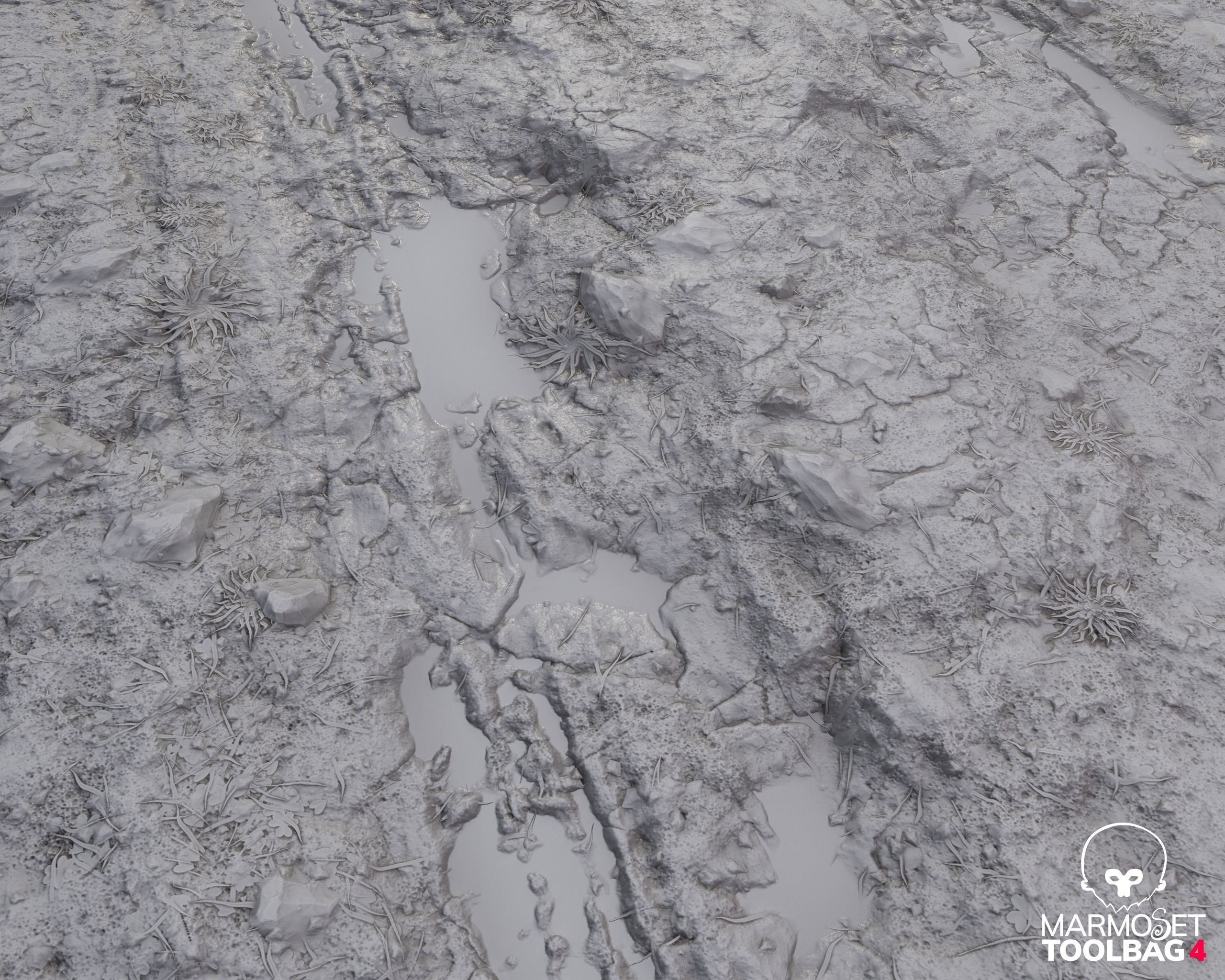 Muddy Road PBR Material Texture Texture_5