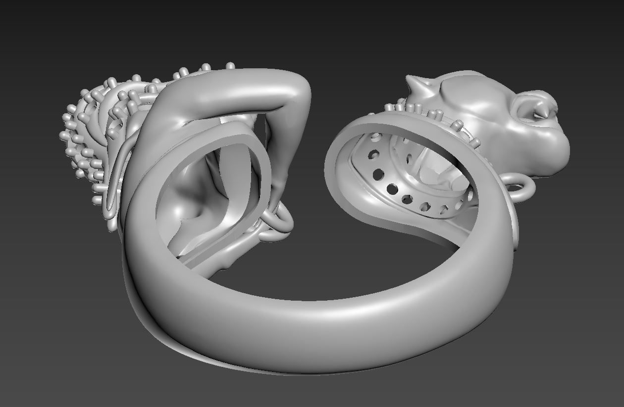 Ring R 56 3D print model_6