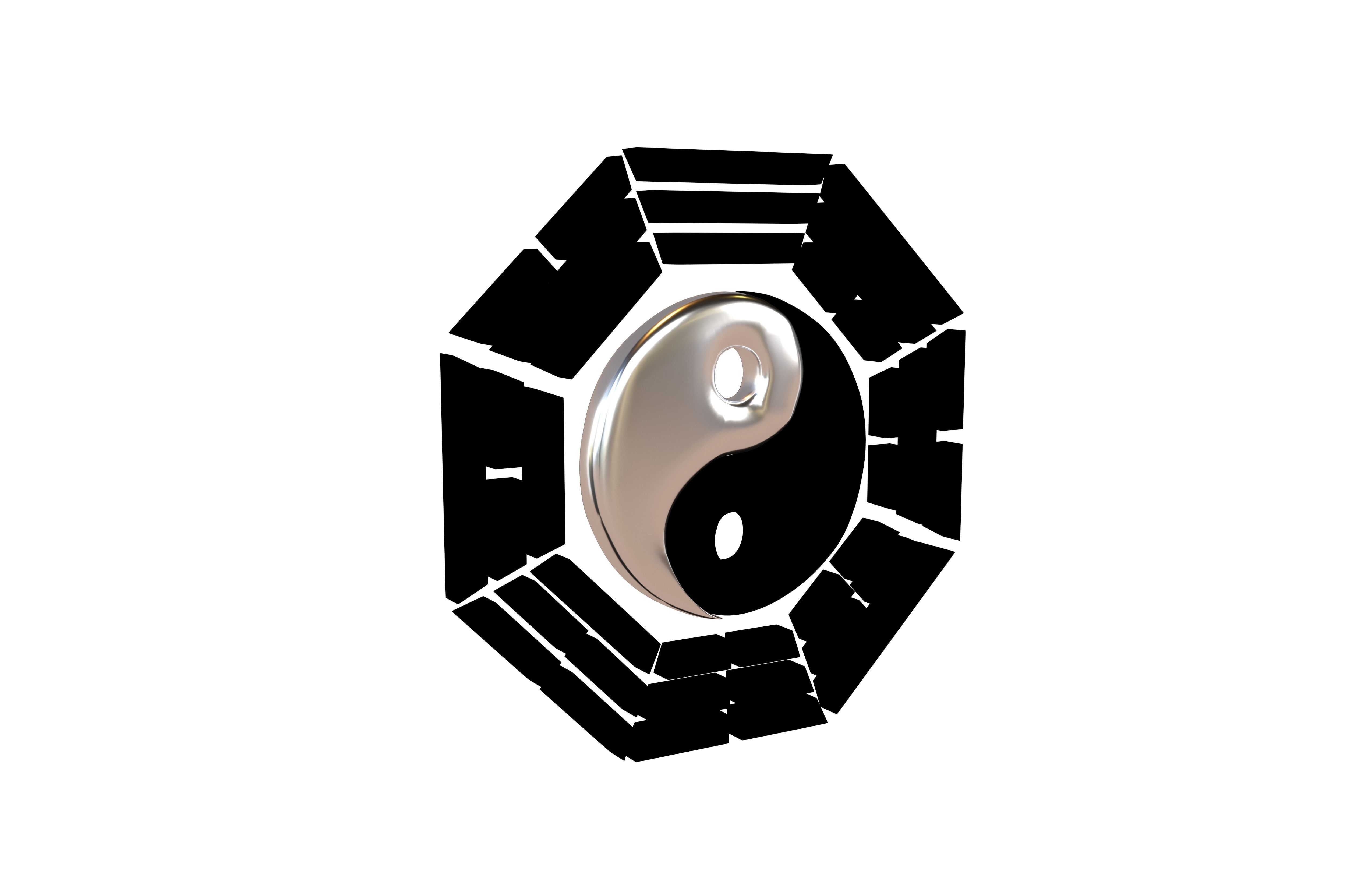 Taiji Bagua v1 002 Low-poly 3D model_1