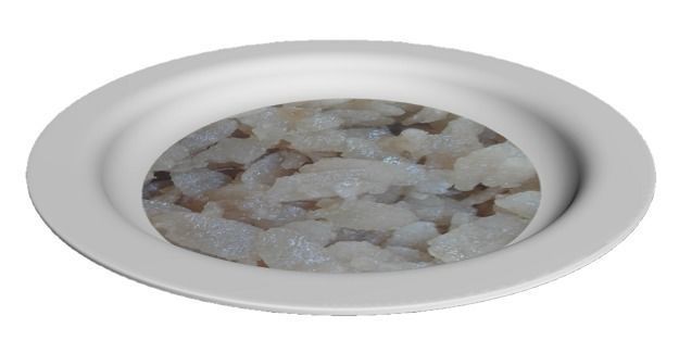 Elegant Dinner Plate Low-poly 3D model_1