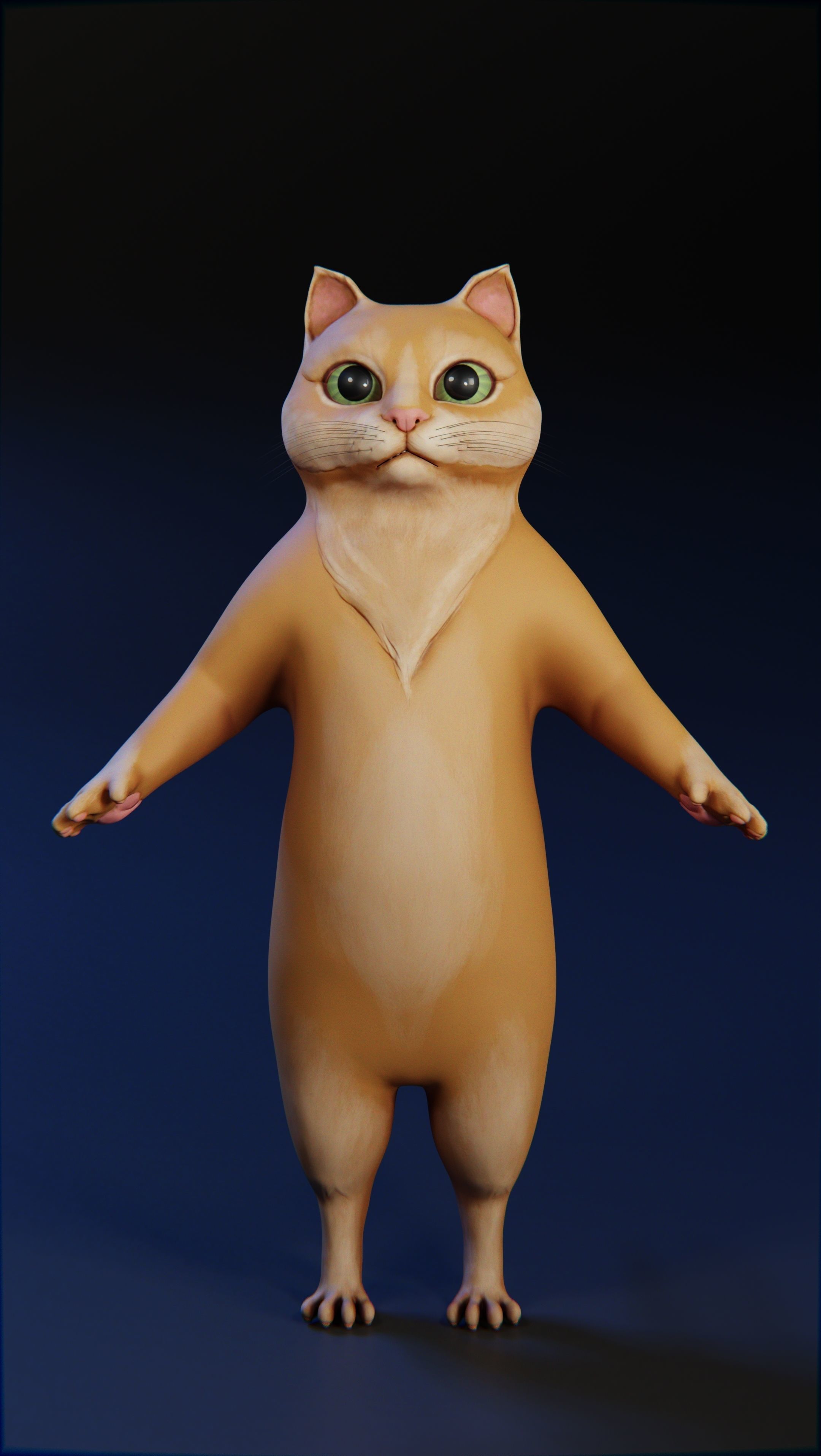 Cartoon cat Low-poly 3D model_2