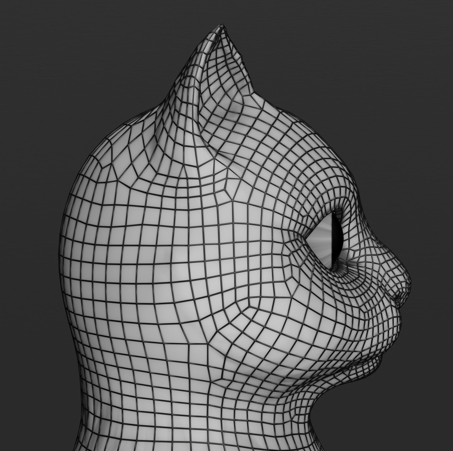 Cartoon cat Low-poly 3D model_13