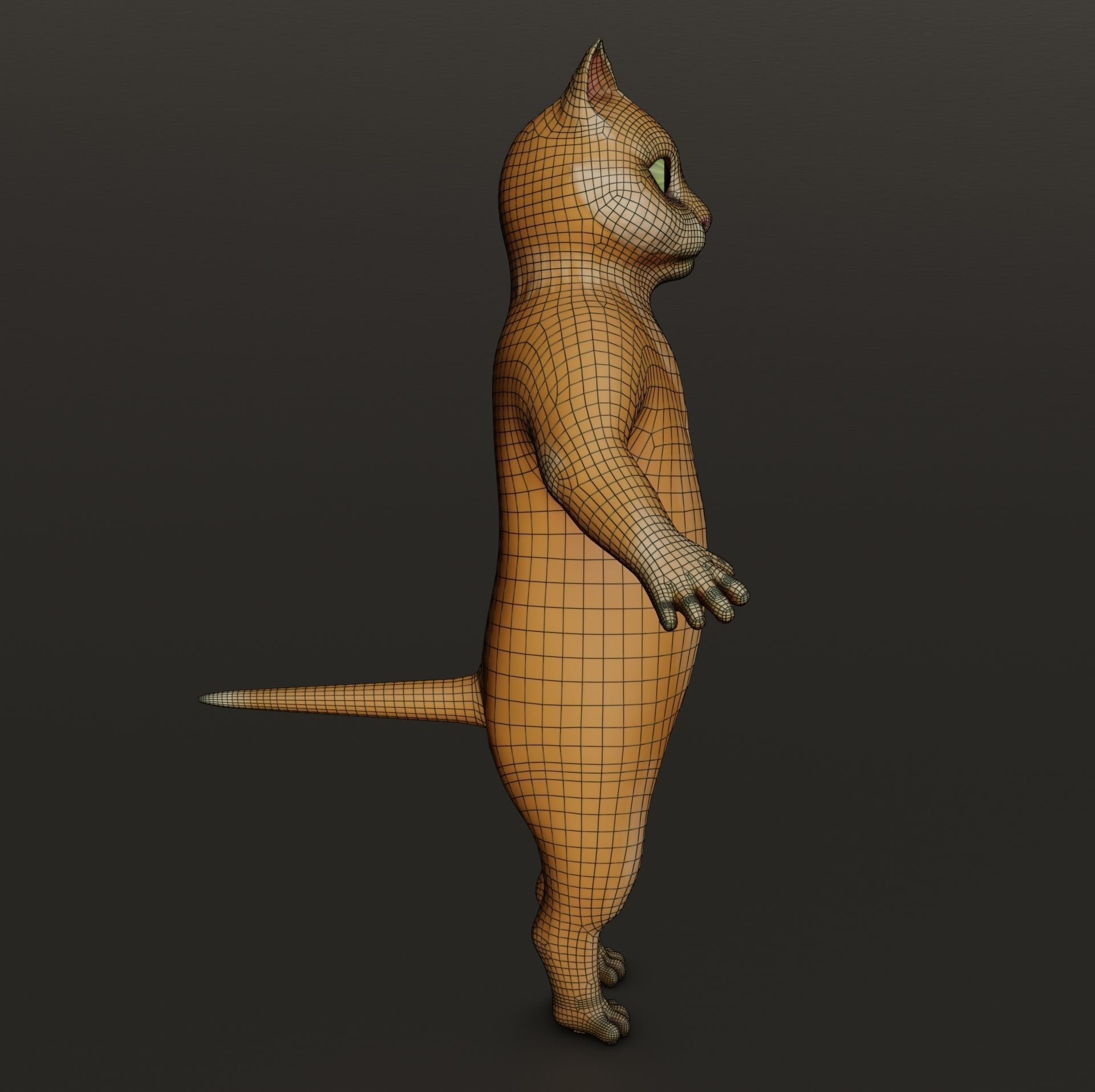 Cartoon cat Low-poly 3D model_14