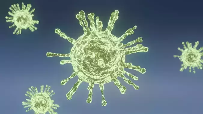Corona Covid  19 virus model