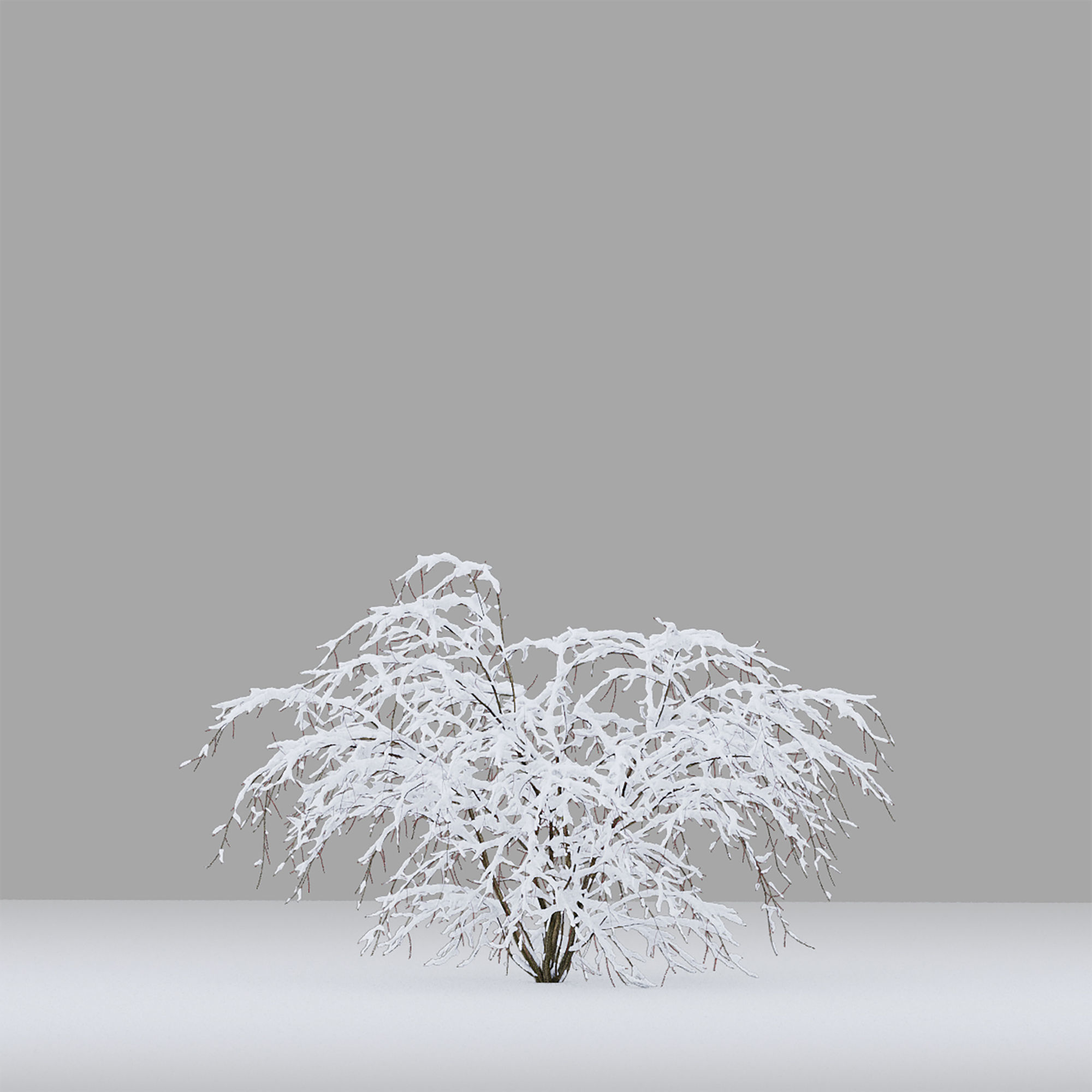 Winter bushes 01 3D model_4