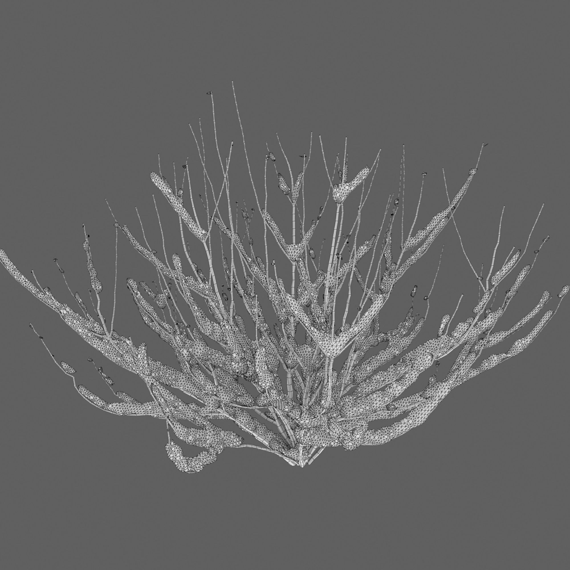 Winter bushes 01 3D model_7