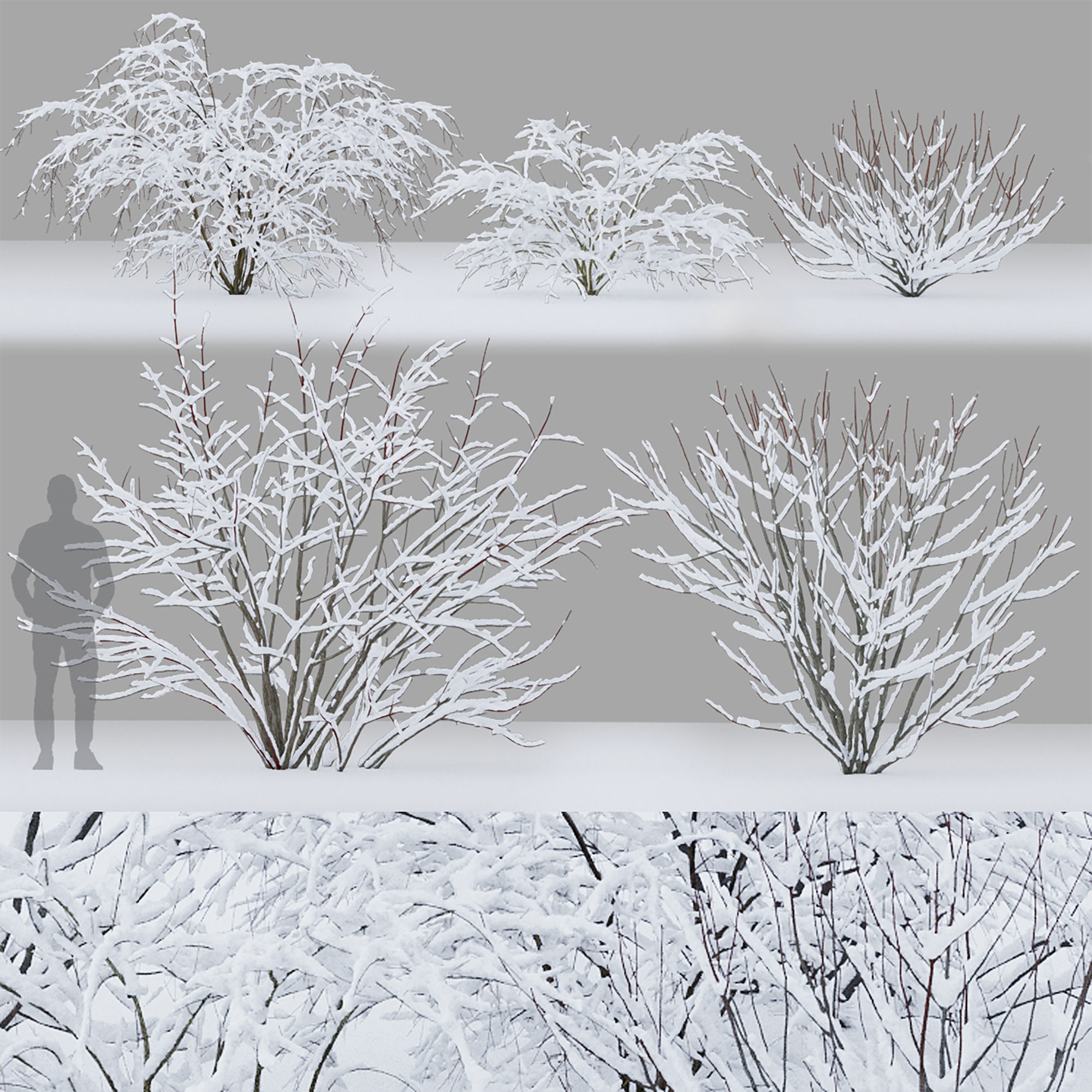 Winter bushes 01 3D model_6