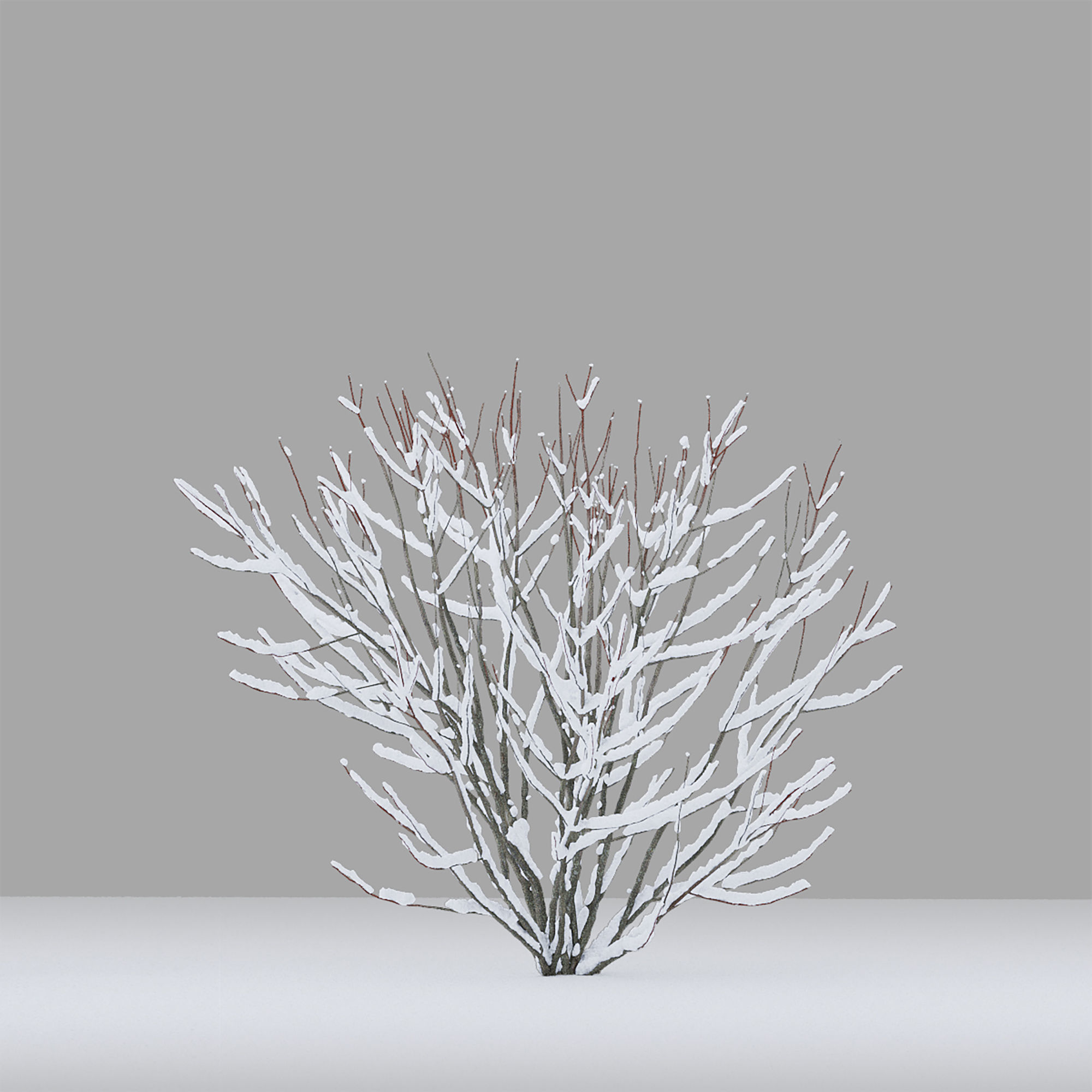 Winter bushes 01 3D model_3