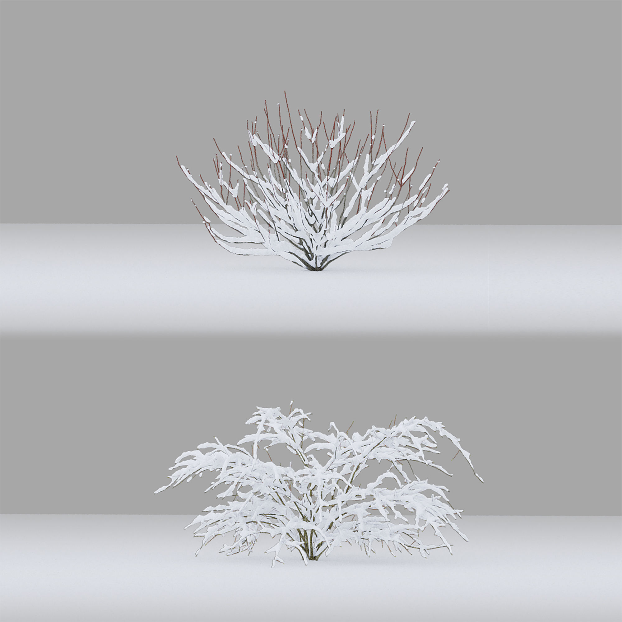Winter bushes 01 3D model_5