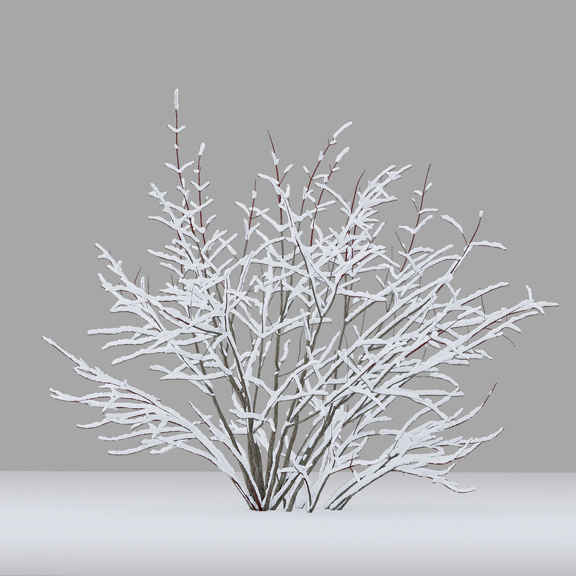 Winter bushes 01 3D model_2