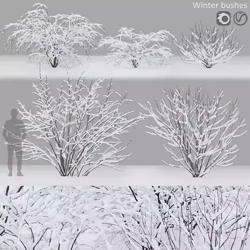 Winter bushes 01 3D model