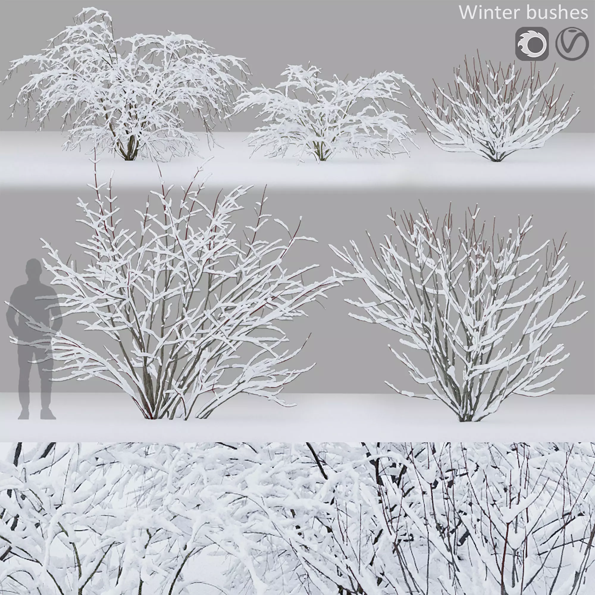 Winter bushes 01 3D model_0