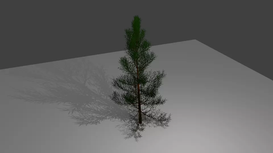 3D Conifers Pine Tree 3D model_0