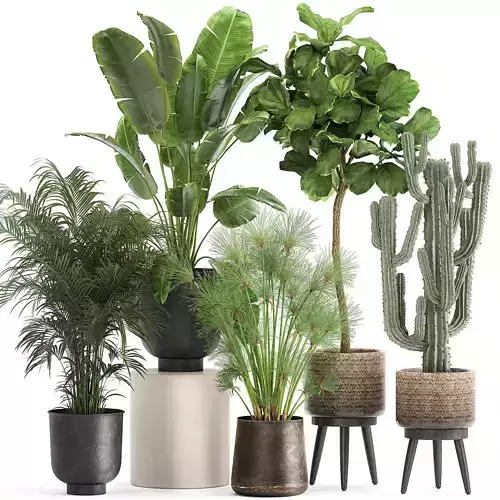 Plants in a metal flowerpot for the interior 1079 3D model
