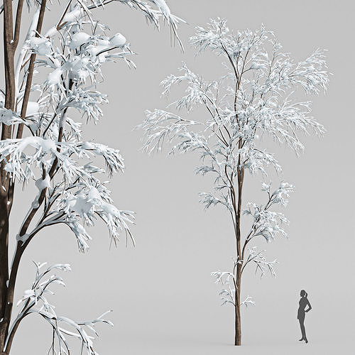 Winter Snow Tree001 3D model