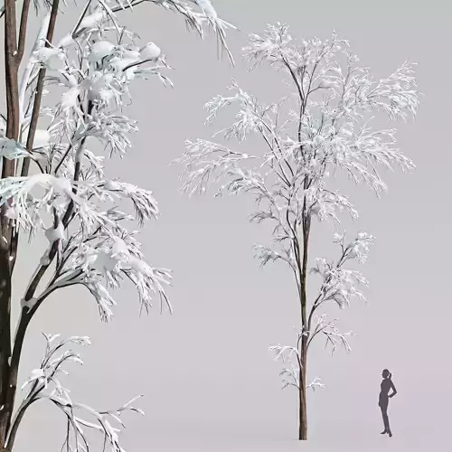 Winter Snow Tree001 3D model