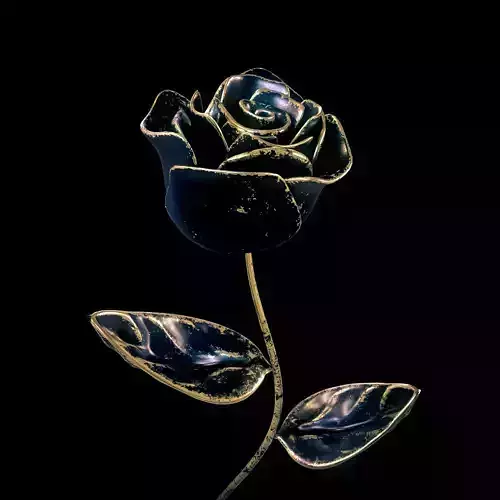 Antique Black Rose