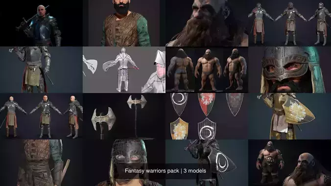 Fantasy warriors pack