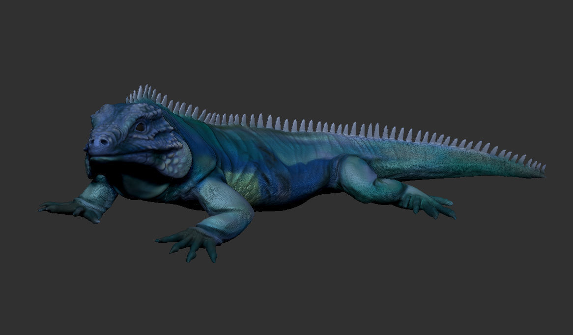 iguana 3D model_1