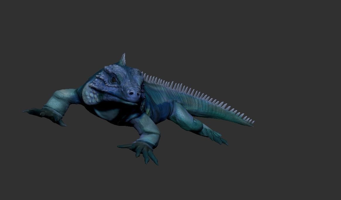 iguana 3D model_4