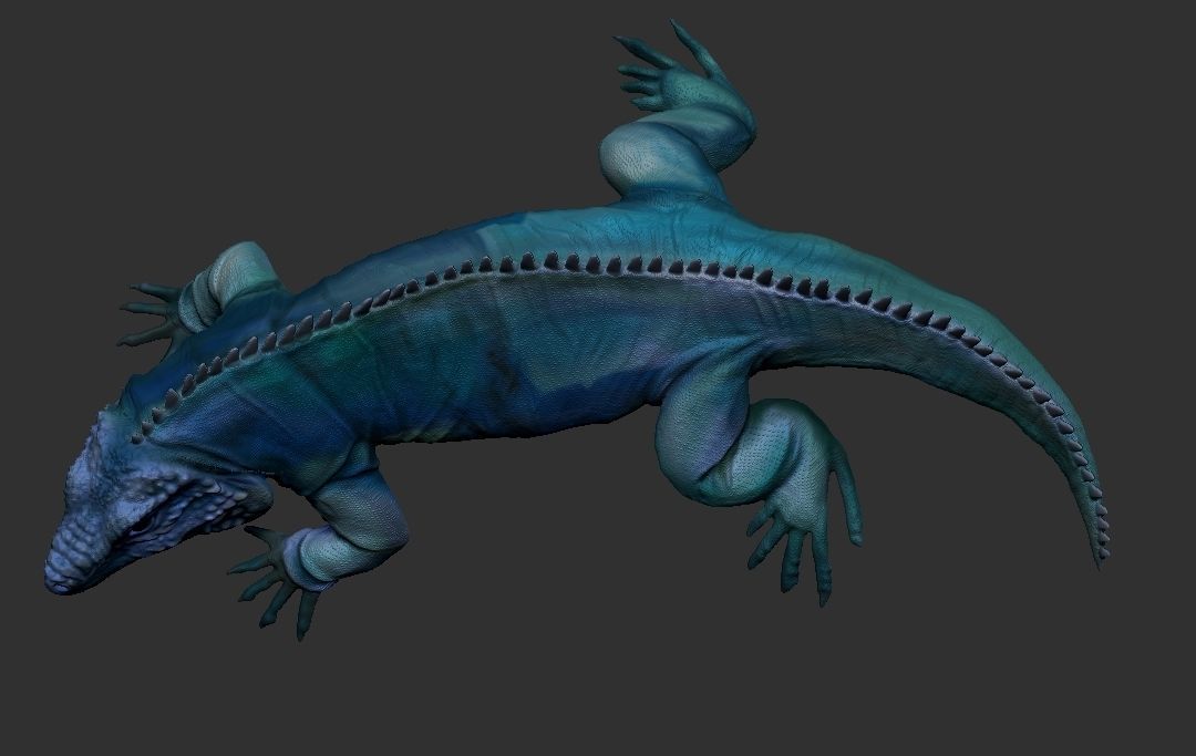 iguana 3D model_3