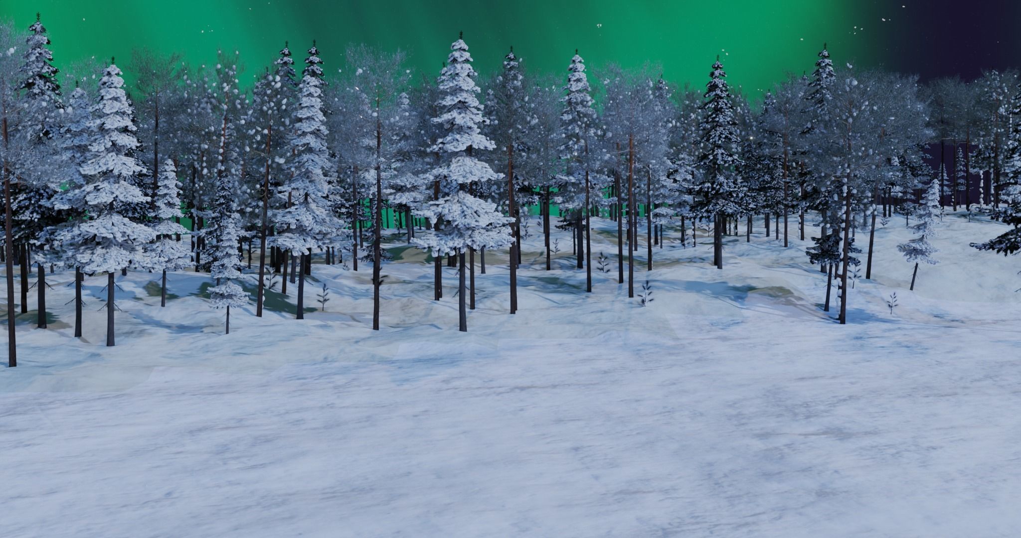 Winter Night Scene with Aurora Borealis for Blender 3D model_3