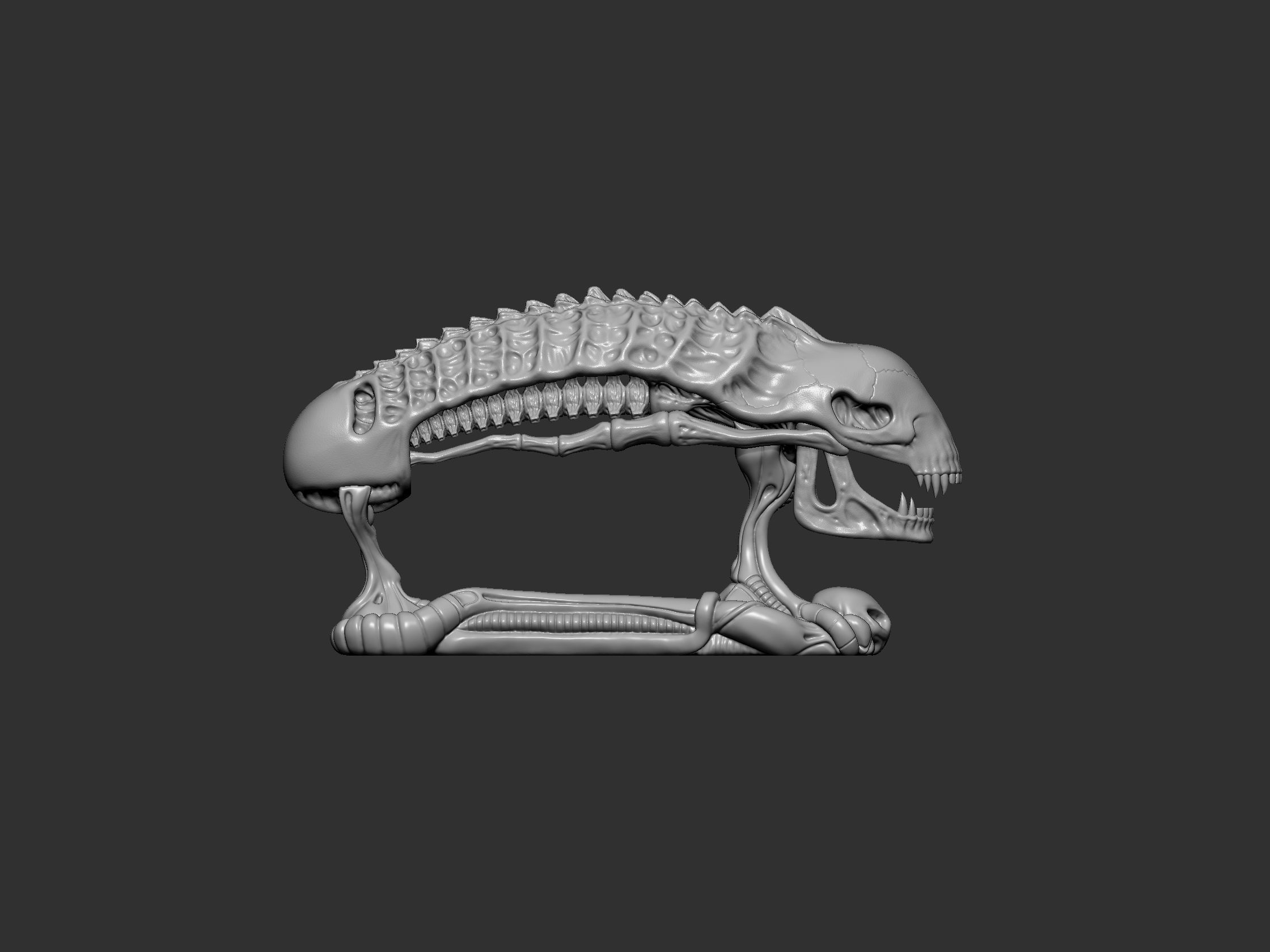 Alien Skull 3D print model_5