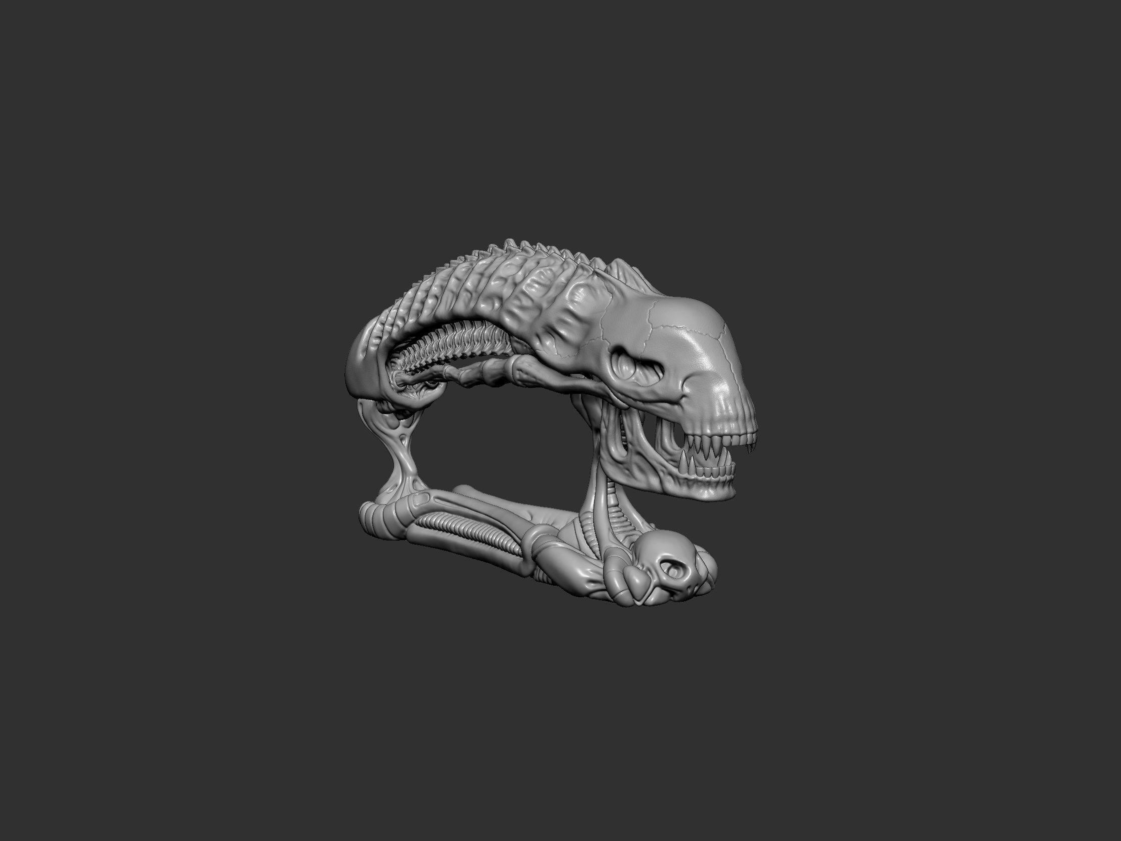 Alien Skull 3D print model_4