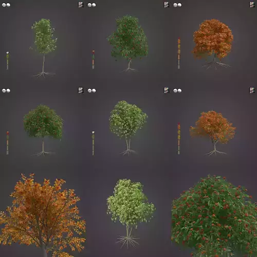 2021 PBR European Mountain Ash Collection - Sorbus Aucuparia 