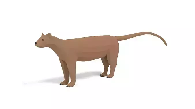 Low Poly Cartoon Fossa Low-poly 3D model
