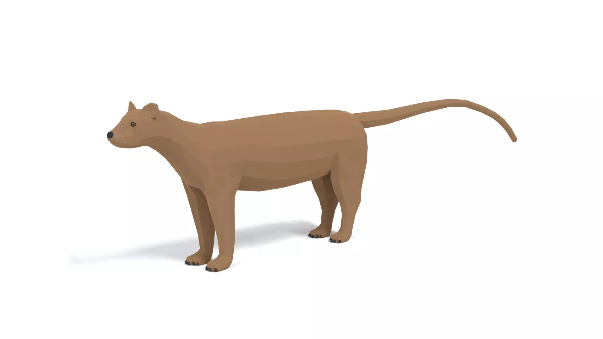 Low Poly Cartoon Fossa Low-poly 3D model_0