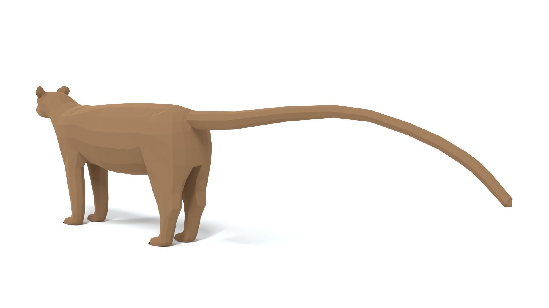 Low Poly Cartoon Fossa Low-poly 3D model_2