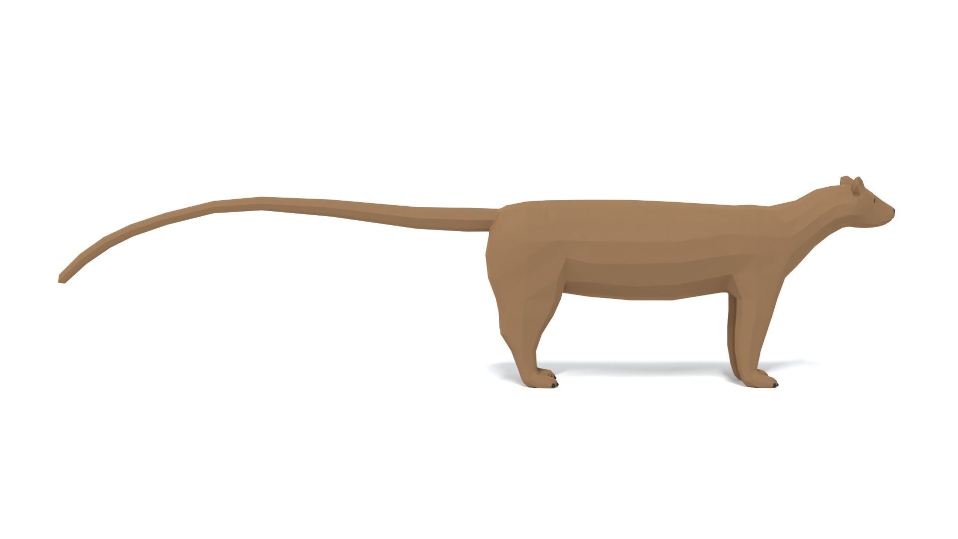 Low Poly Cartoon Fossa Low-poly 3D model_5