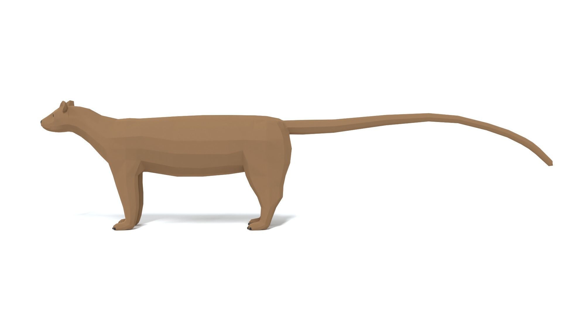 Low Poly Cartoon Fossa Low-poly 3D model_1