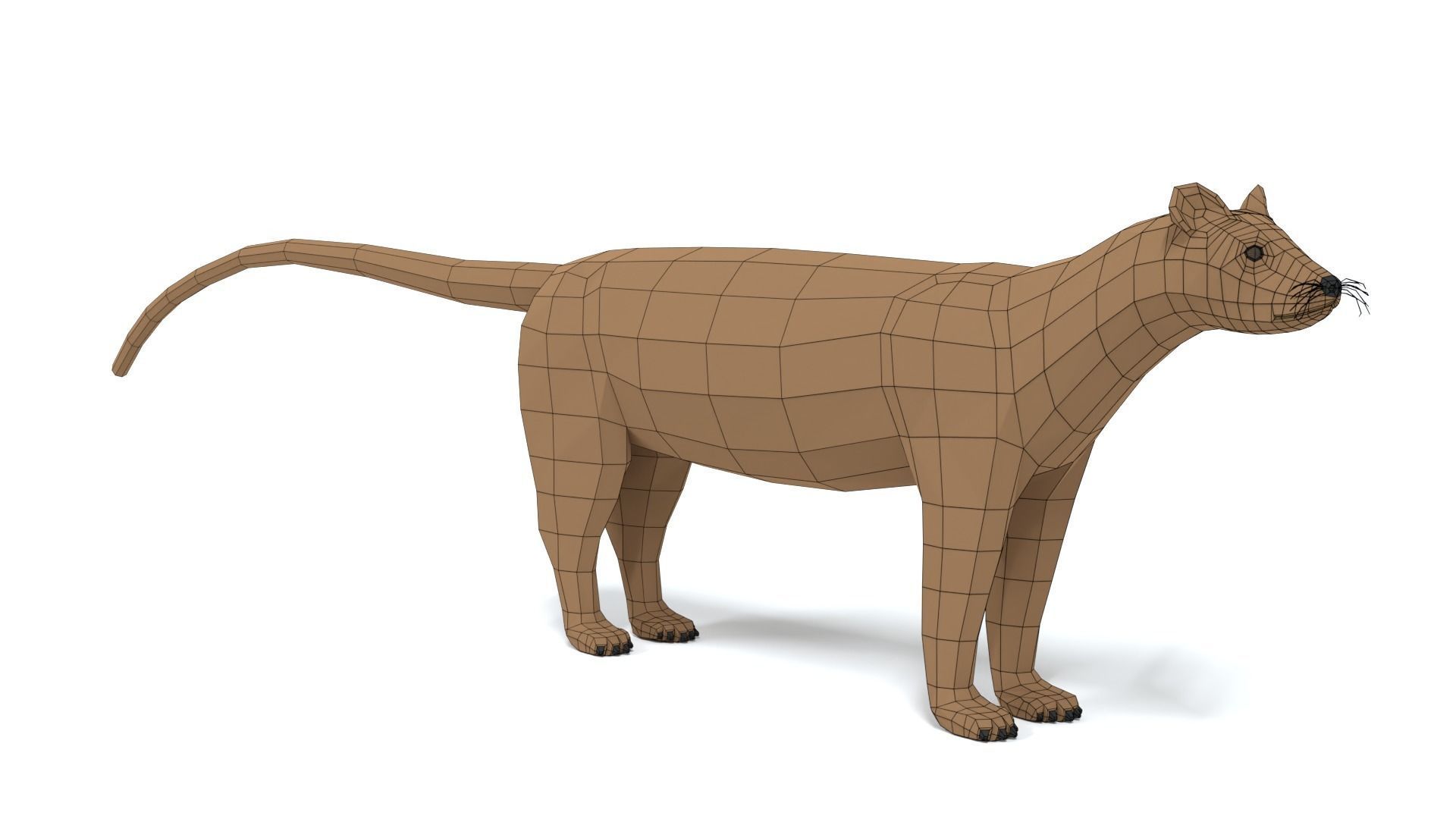 Low Poly Cartoon Fossa Low-poly 3D model_16