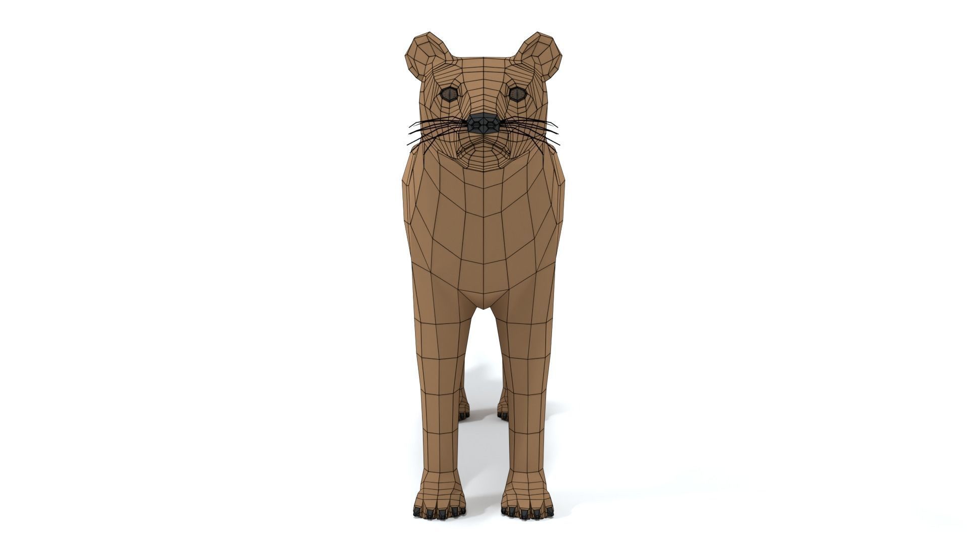 Low Poly Cartoon Fossa Low-poly 3D model_17