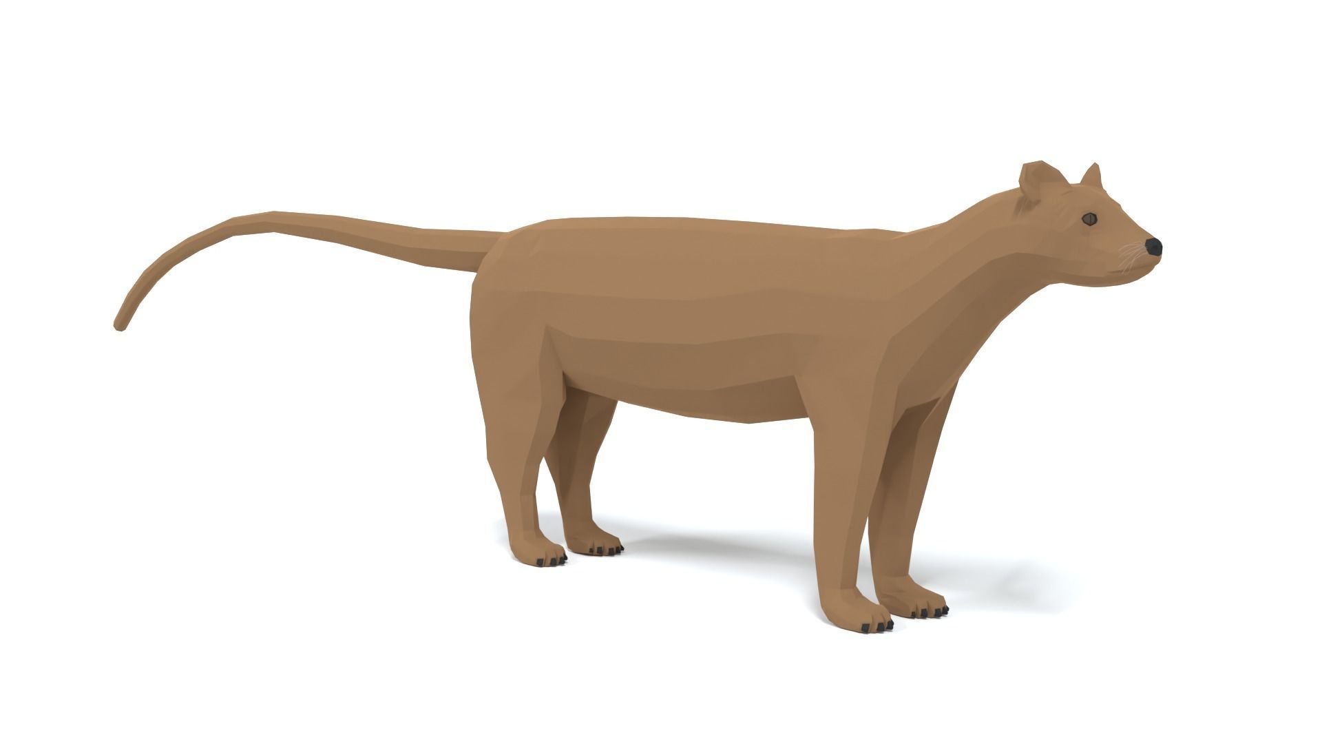 Low Poly Cartoon Fossa Low-poly 3D model_6