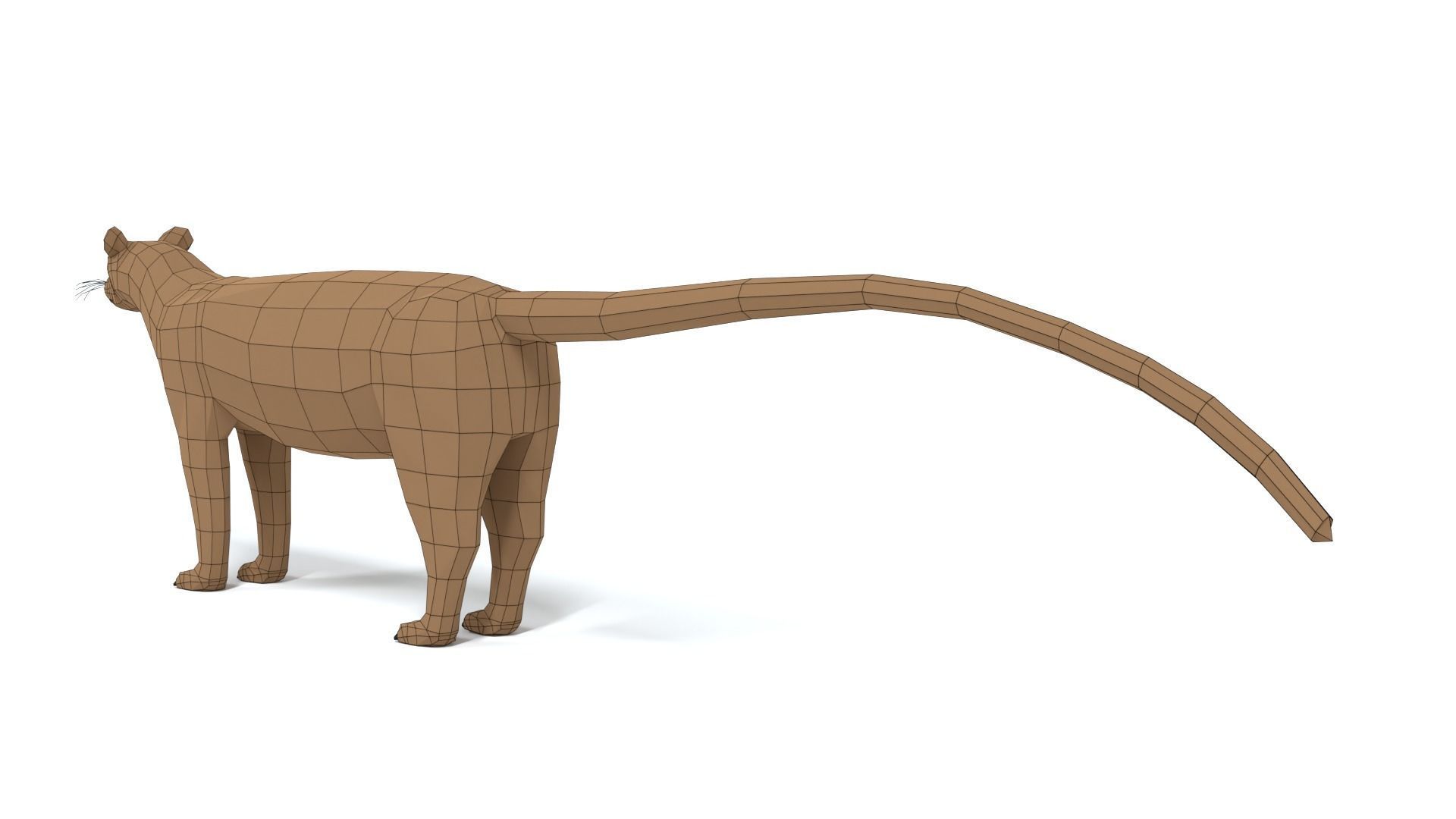 Low Poly Cartoon Fossa Low-poly 3D model_12