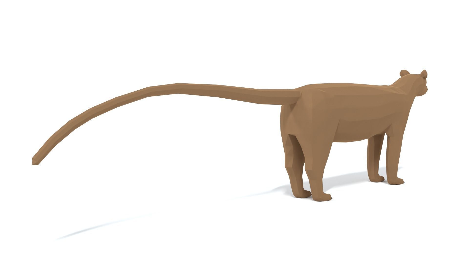 Low Poly Cartoon Fossa Low-poly 3D model_4
