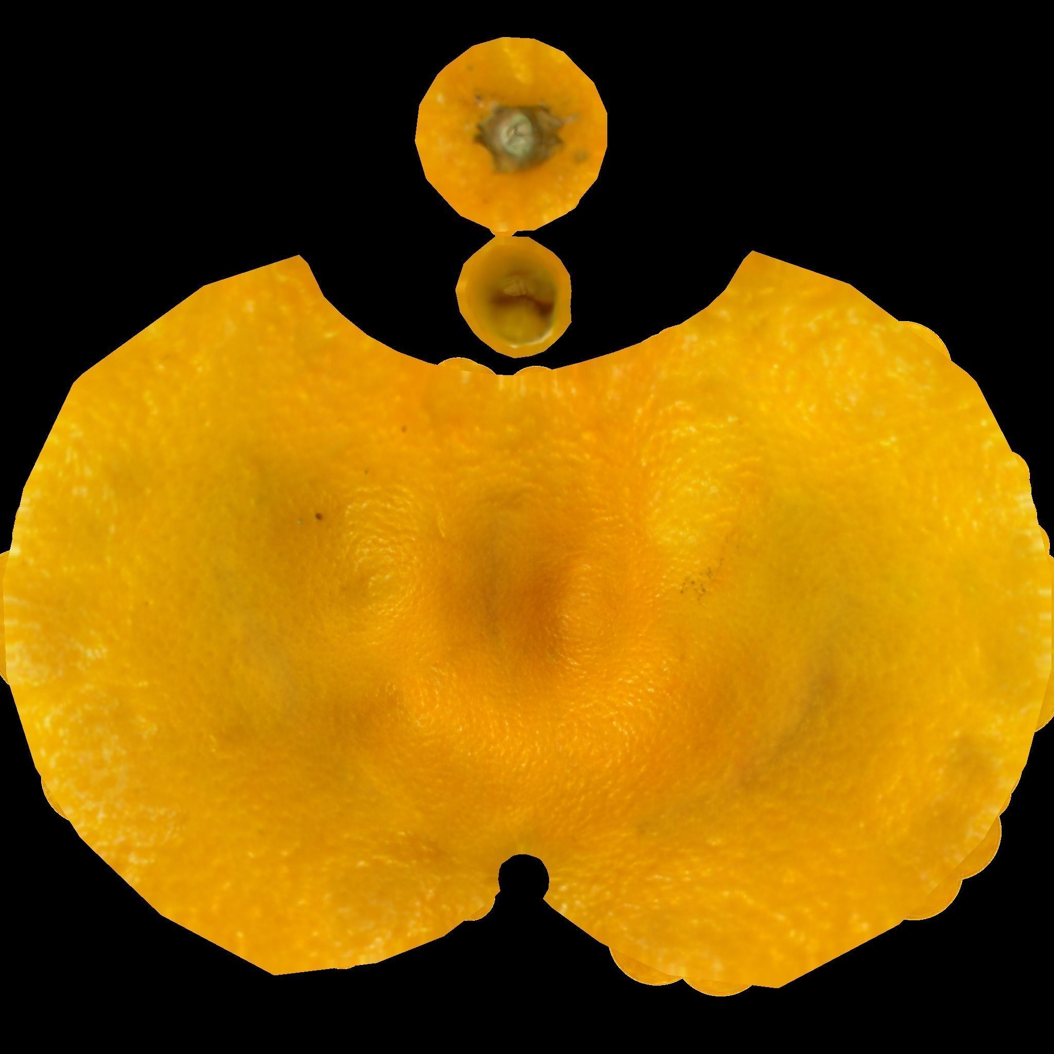 Orange lemon Low-poly 3D model_8