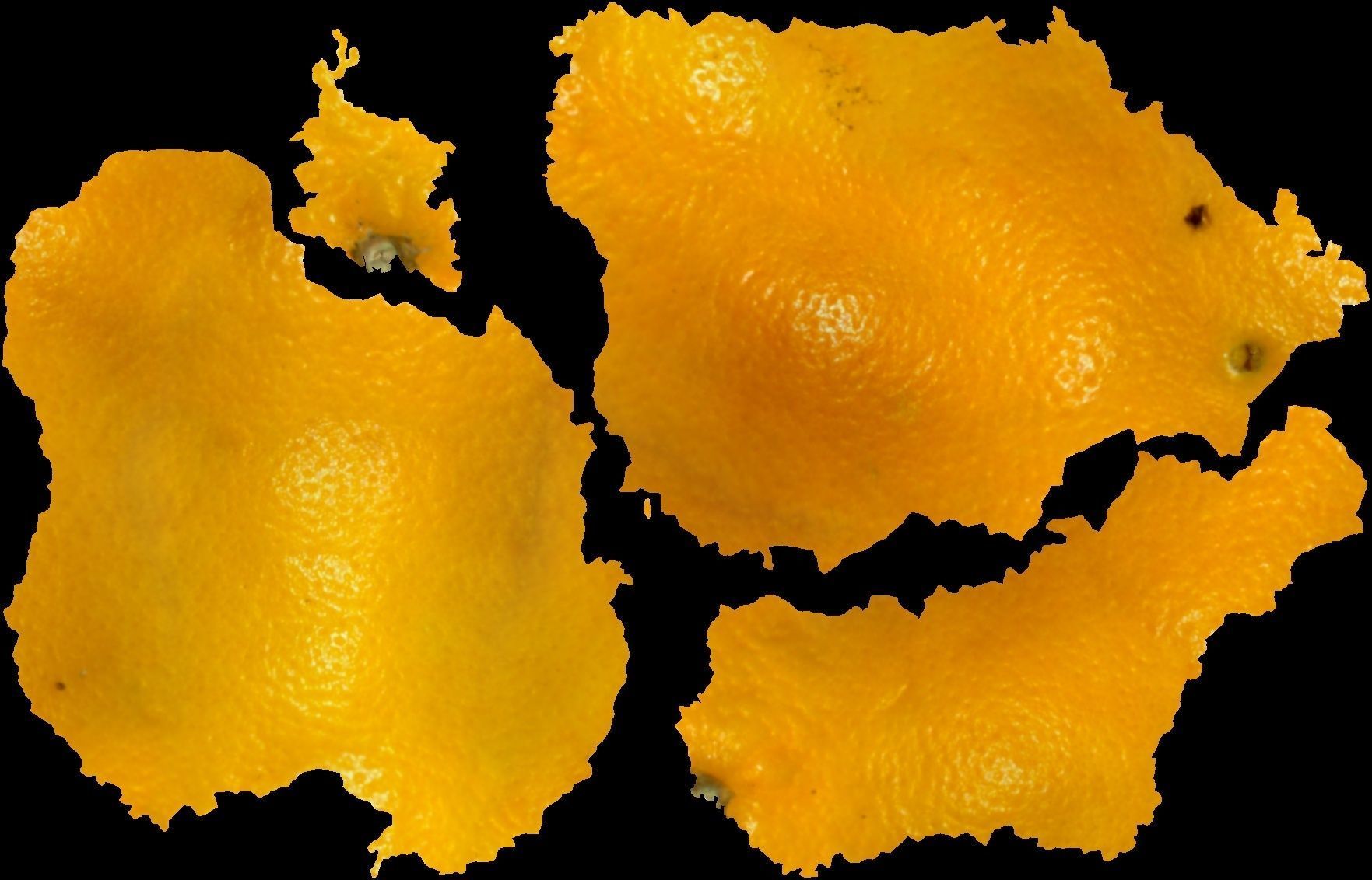 Orange lemon Low-poly 3D model_9