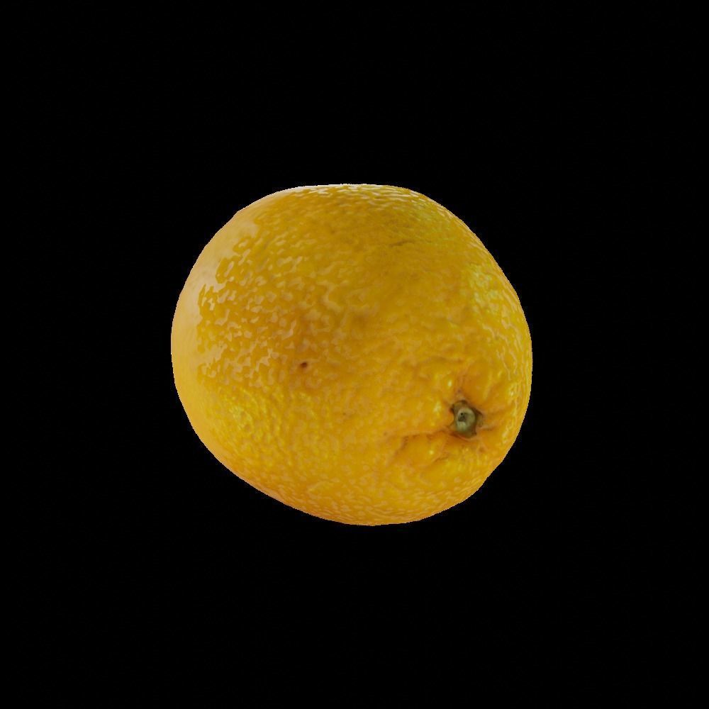 Orange lemon Low-poly 3D model_1